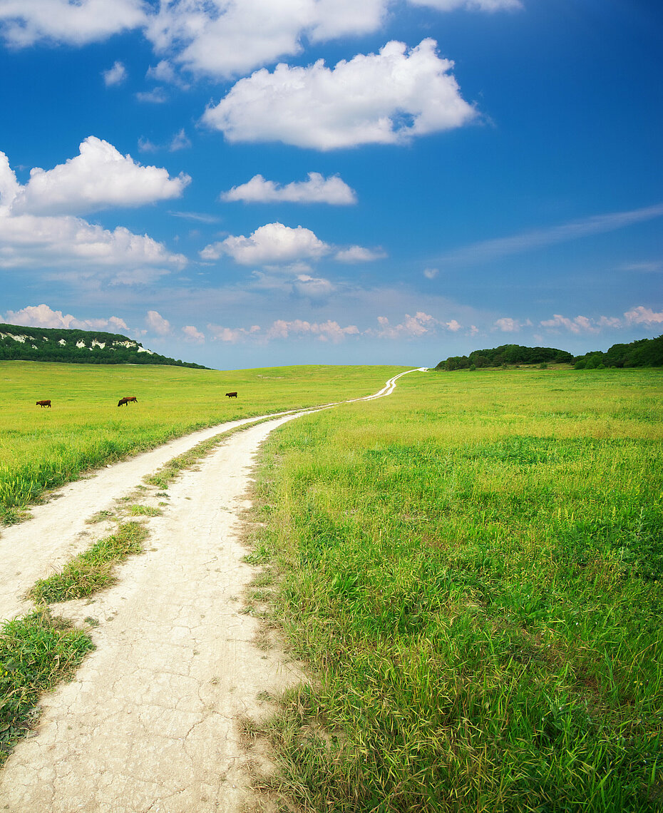 Bild führt zu heidschnuckenweg.de