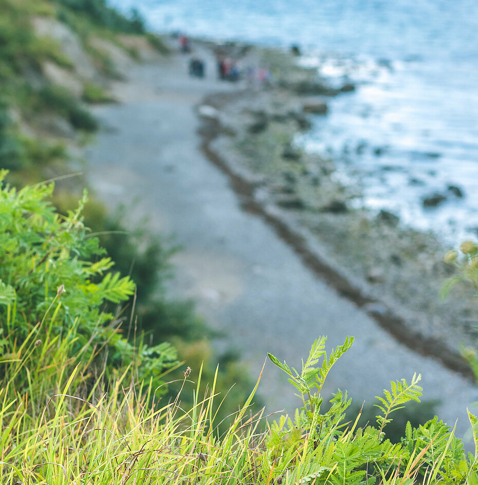 Bild führt zu luebecker-bucht-ostsee.de