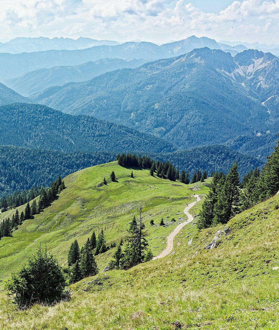 Bild führt zu goldsteig-wandern.de