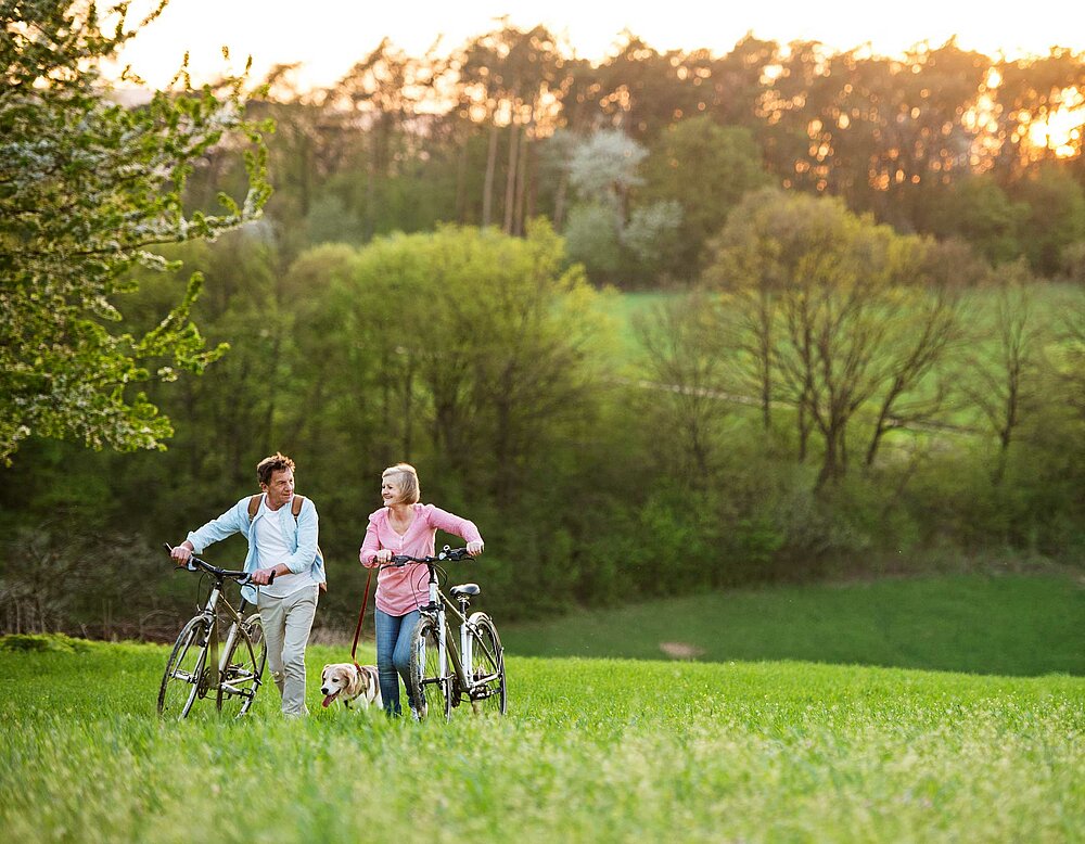 Schönes älteres Paar draußen im Frühling Natur, zu Fuß mit einem Hund und Fahrräder auf Grünland.